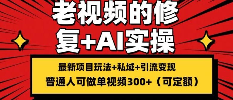修复老视频的玩法,搬砖+引流的变现(可持久),单条收益300+【揭秘】-吾爱云课堂