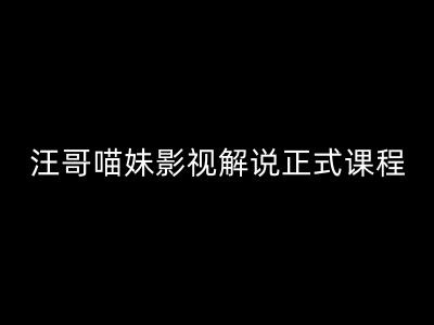 汪哥影视解说正式课程:剪映/PR教学/视解说剪辑5大黄金法则/全流程剪辑7把利器等等-吾爱云课堂
