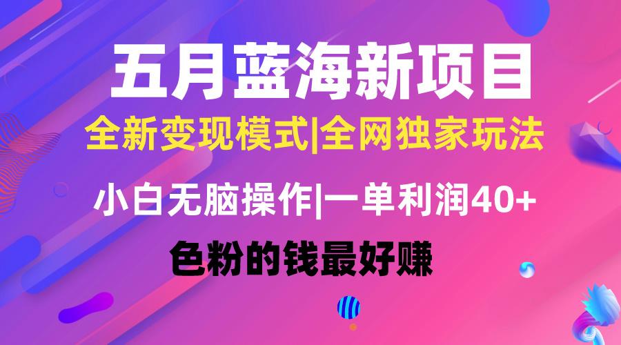 五月蓝海项目全新玩法,小白无脑操作,一天几分钟,矩阵操作,月入4万+-吾爱云课堂