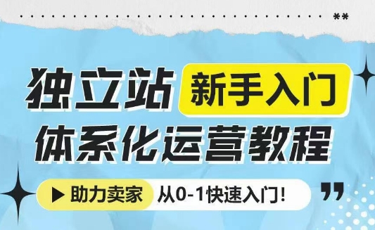 独立站新手入门体系化运营教程,助力独立站卖家从0-1快速入门!-吾爱云课堂