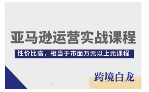 亚马逊运营实战课程,亚马逊从入门到精通,性价比高,相当于市面万元以上元课程-吾爱云课堂