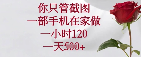 你只管截图,一部手机在家做,一小时120.一天5张【揭秘】-吾爱云课堂