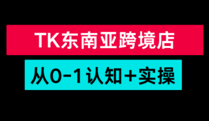 TikTok东南亚跨境从0-1认知实操课-吾爱云课堂