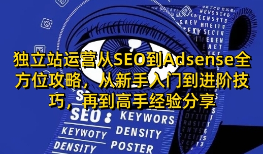 独立站运营从SEO到Adsense全方位攻略,从新手入门到进阶技巧,再到高手经验分享-吾爱云课堂