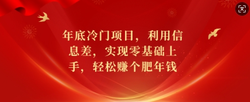 年底冷门项目,利用信息差,实现零基础上手,轻松赚个肥年钱【揭秘】-吾爱云课堂