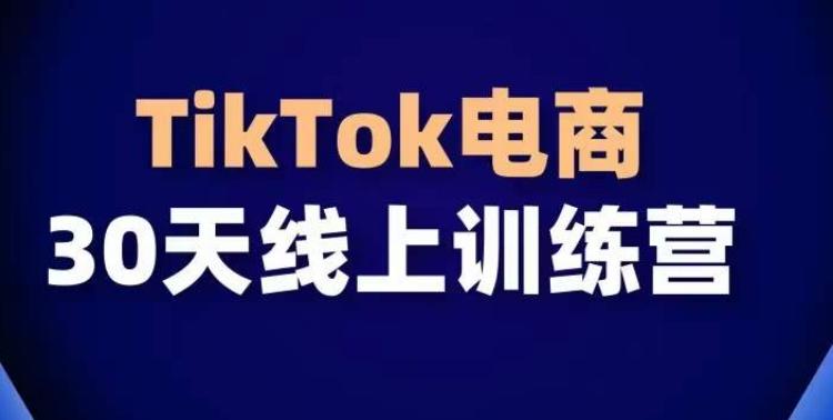 TikTok电商带货30天线上课，不可错过的全球流量洼地！-吾爱云课堂