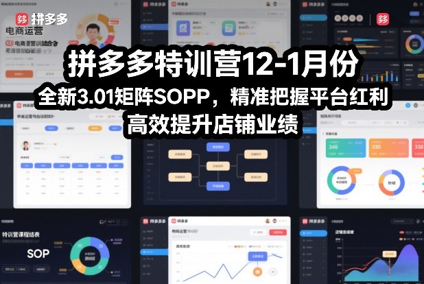 拼多多特训营12-1月份，全新3.01矩阵Sop，精准把握平台红利，高效提升店铺业绩-吾爱云课堂