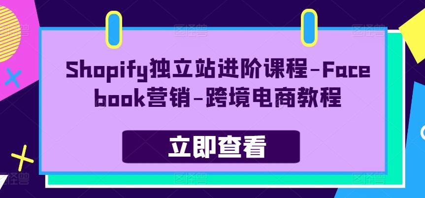 Shopify独立站进阶课程-Facebook营销-跨境电商教程-吾爱云课堂