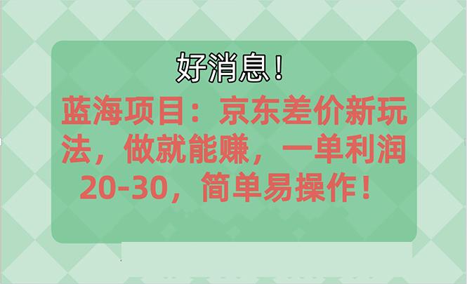 越早知道越能赚到钱的蓝海项目:京东大平台操作,一单利润20-30,简单...-吾爱云课堂