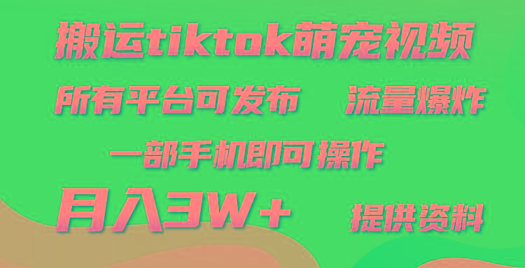 (9618期)搬运Tiktok萌宠类视频,一部手机即可。所有短视频平台均可操作,月入3W+-吾爱云课堂