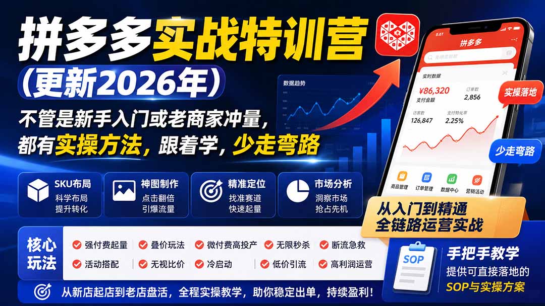 拼多多实战特训营(更新26年0821-吾爱云课堂