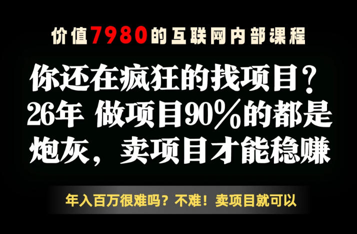 26年请不要疯狂的找项目了，卖项目远比你想象的暴利，你也可以月入10W+【揭秘】-吾爱云课堂