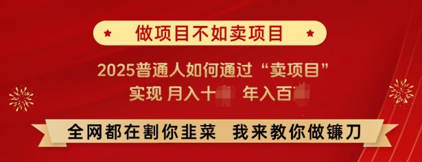 必看，做项目不如卖项目，2025普通人如何通过“卖项目”实现月入十个，年入百个-吾爱云课堂
