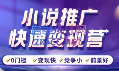 洲洲老师·小说推广快速变现营-吾爱云课堂
