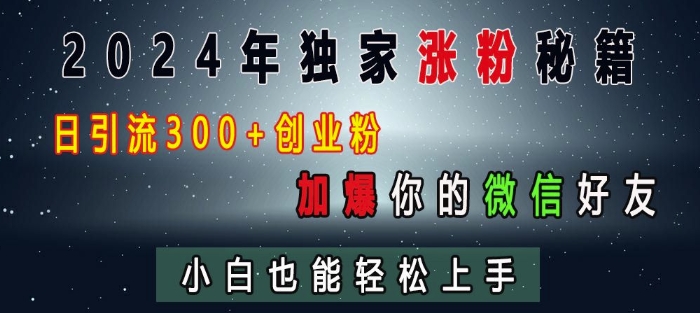 2024年独家涨粉秘籍,日引流300+创业粉,加爆你的微信好友,小白也能轻松上手-吾爱云课堂