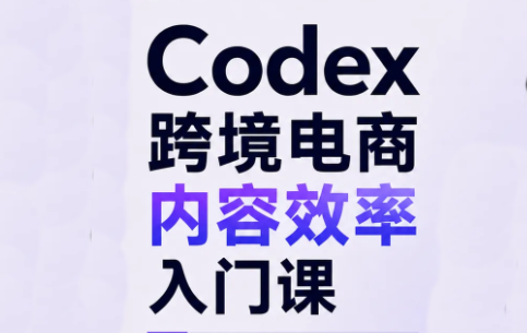 Codex跨境电商内容效率入门课-吾爱云课堂