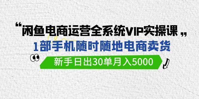 (9547期)闲鱼电商运营全系统VIP实战课,1部手机随时随地卖货,新手日出30单月入5000-吾爱云课堂