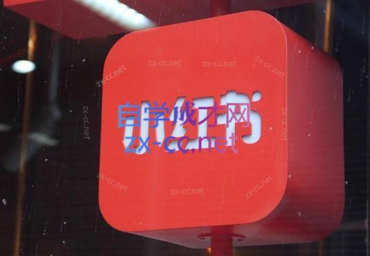 伊伊·红薯【高级班】运营课-吾爱云课堂