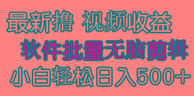 (9569期)发视频撸收益,软件无脑批量剪辑,第一天发第二天就有钱-吾爱云课堂