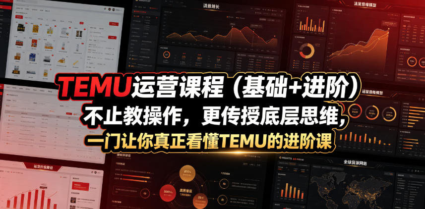 TEMU运营课程(基础+进阶)，不止教操作，更传授底层思维，一门让你真正看懂TEMU的进阶课-吾爱云课堂