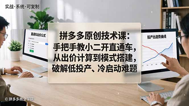 拼多多原创技术课：手把手教小二开直通车，从出价计算到模式搭建，破解低投产、冷启动难题-吾爱云课堂