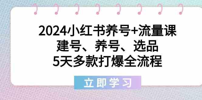 2024小红书养号+流量课：建号、养号、选品，5天多款打爆全流程-吾爱云课堂