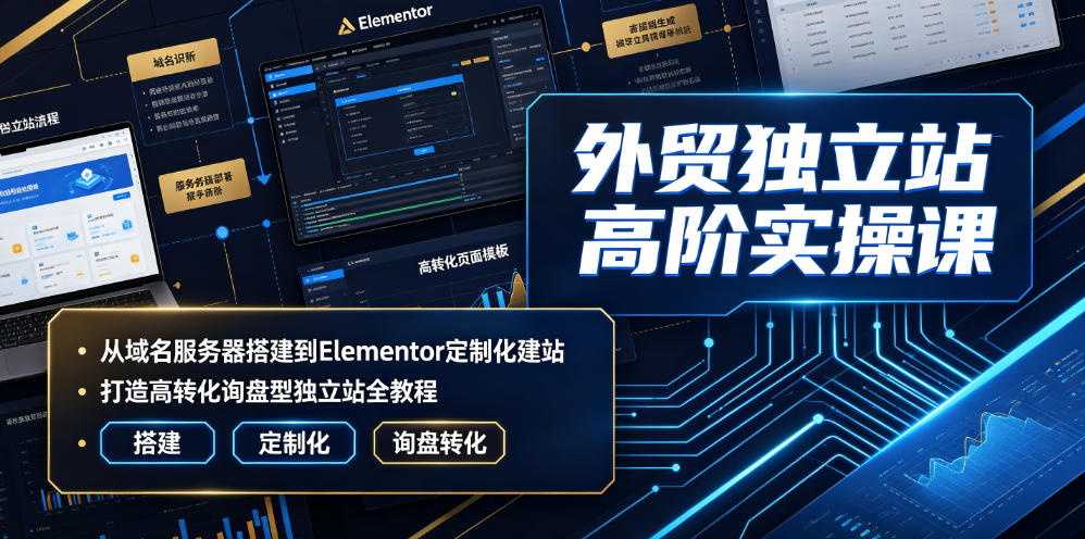 外贸独立站高阶实操课|从域名服务器搭建到Elementor定制化建站,打造高转化询盘型独立站全教程-吾爱云课堂