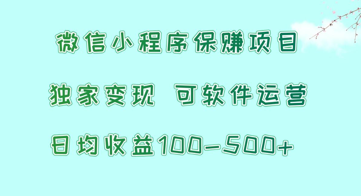 微信小程序保赚项目,日均收益100~500+,独家变现,可软件运营-吾爱云课堂