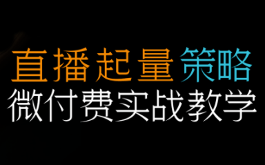 半野老师·直播带货起量与微付费必学课视频号(更新2026)-吾爱云课堂