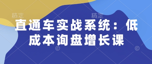 直通车实战系统：低成本询盘增长课，让个人通过技能实现升职加薪，让企业低成本获客，订单源源不断-吾爱云课堂