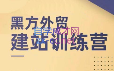 黑方老师·谷歌B端独立站建站推广-吾爱云课堂