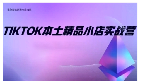 TikTok本土精品小店出海实战营,从入门到高阶,不止0-1!-吾爱云课堂