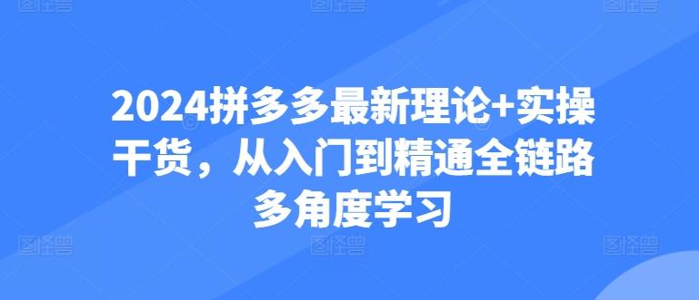 2024拼多多最新理论+实操干货,从入门到精通全链路多角度学习-吾爱云课堂