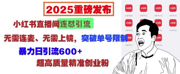 2025重磅发布：小红书直播间连怼引流，无需连麦、无需上镜，突破单号限制，暴力日引流600+-吾爱云课堂