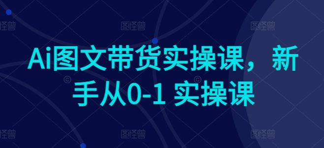 Ai图文带货实操课,新手从0-1 实操课-吾爱云课堂