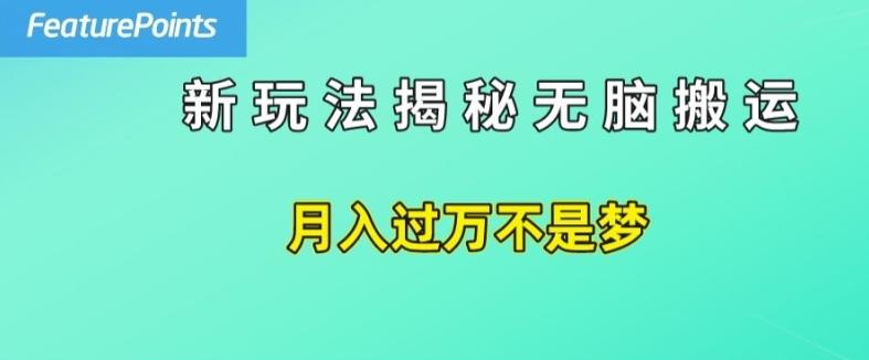 简单操作,每天50美元收入,搬运就是赚钱的秘诀【揭秘】-吾爱云课堂