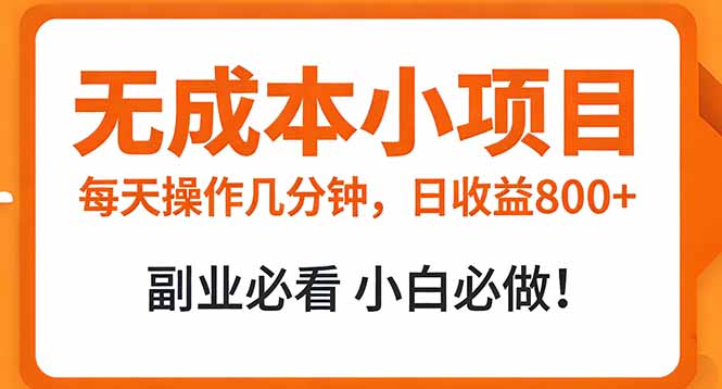 无成本小项目 每天操作几分钟，真实日收益800+ 副业必看 小白必做！-吾爱云课堂