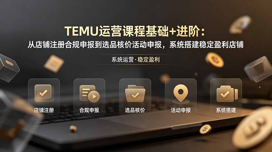TEMU运营课程(基础+进阶-吾爱云课堂