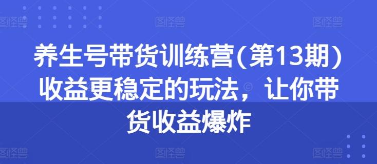 养生号带货训练营(第13期)收益更稳定的玩法,让你带货收益爆炸-吾爱云课堂