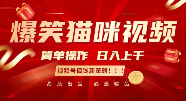 爆笑猫咪视频:简单操作,日入过K,视频号搞钱新策略【揭秘】-吾爱云课堂