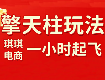 琪琪电商·拼多多擎天柱玩法(更新7月)-吾爱云课堂