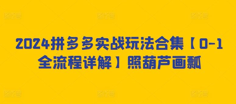 2024拼多多实战玩法合集【0-1全流程详解】照葫芦画瓢-吾爱云课堂