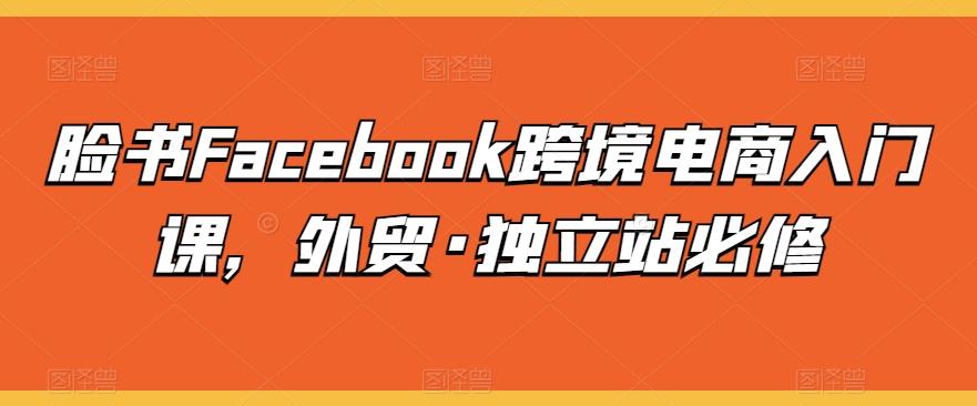 脸书Facebook跨境电商入门课,外贸·独立站必修-吾爱云课堂