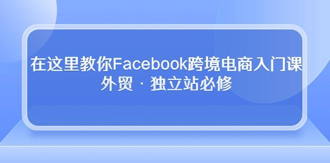 在这里教你Facebook跨境电商入门课,外贸·独立站必修-吾爱云课堂
