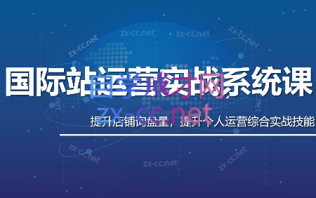 白老师·国际站运营实战系统(高质量询盘增长课)(更新)-吾爱云课堂