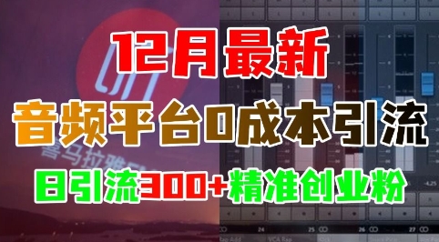 12月最新:音频平台0成本引流,日引流300+精准创业粉-吾爱云课堂