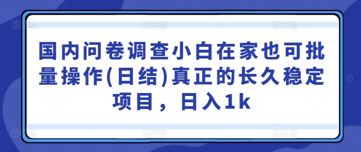 国内问卷调查小白在家也可批量操作(日结)真正的长久稳定项目,日入1k【揭秘】-吾爱云课堂