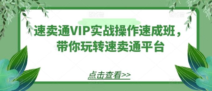 速卖通VIP实战操作速成班,带你玩转速卖通平台-吾爱云课堂