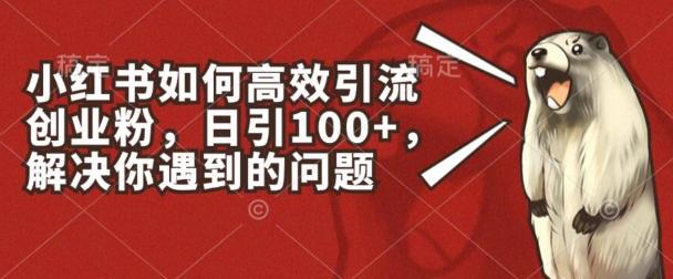 小红书如何高效引流创业粉,日引100+,解决你遇到的问题【揭秘】-吾爱云课堂