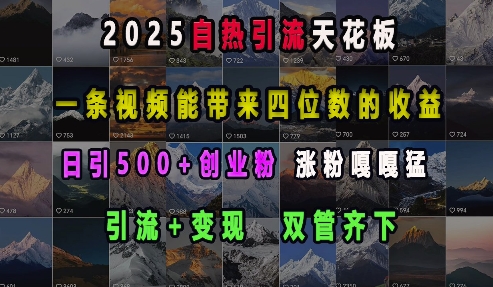 2025自热引流天花板,一条视频能带来四位数的收益,引流+变现双管齐下,日引500+创业粉,涨粉嘎嘎猛-吾爱云课堂